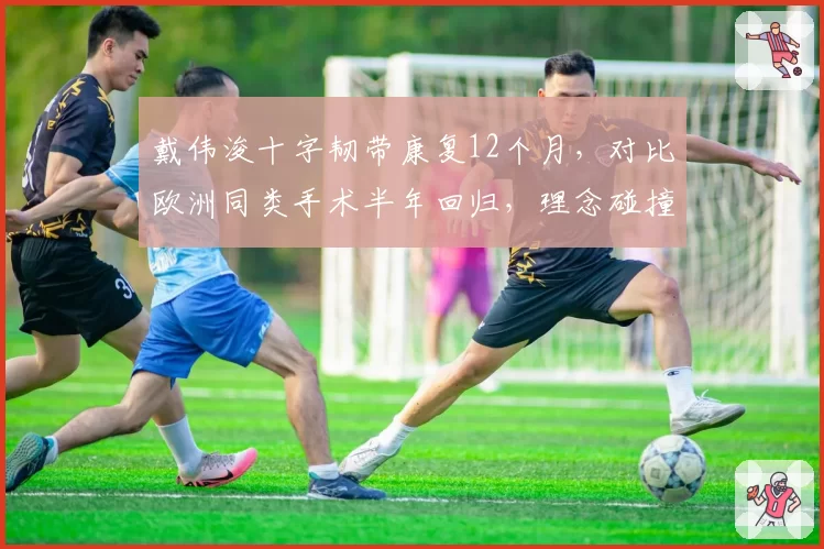 戴伟浚十字韧带康复12个月，对比欧洲同类手术半年回归，理念碰撞