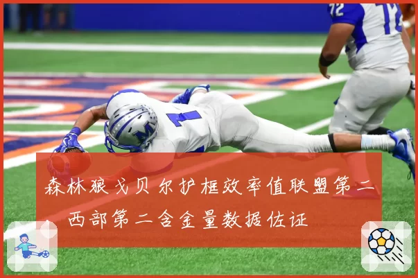 森林狼戈贝尔护框效率值联盟第二，西部第二含金量数据佐证