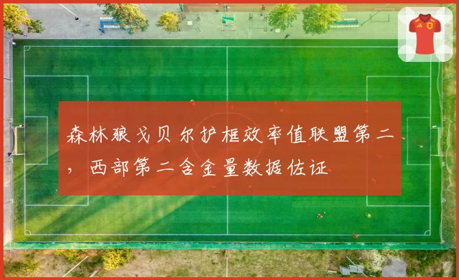 森林狼戈贝尔护框效率值联盟第二,西部第二含金量数据佐证
