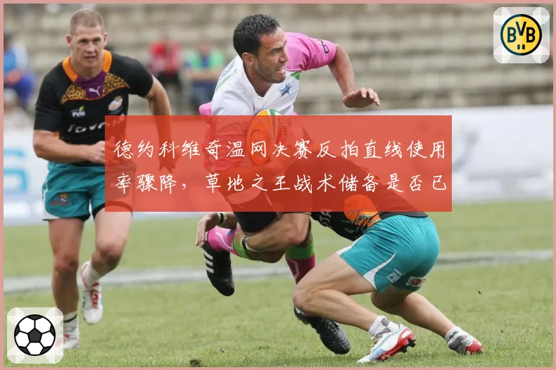 德约科维奇温网决赛反拍直线使用率骤降,草地之王战术储备是否已见底?