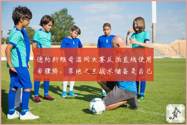德约科维奇温网决赛反拍直线使用率骤降,草地之王战术储备是否已见底?